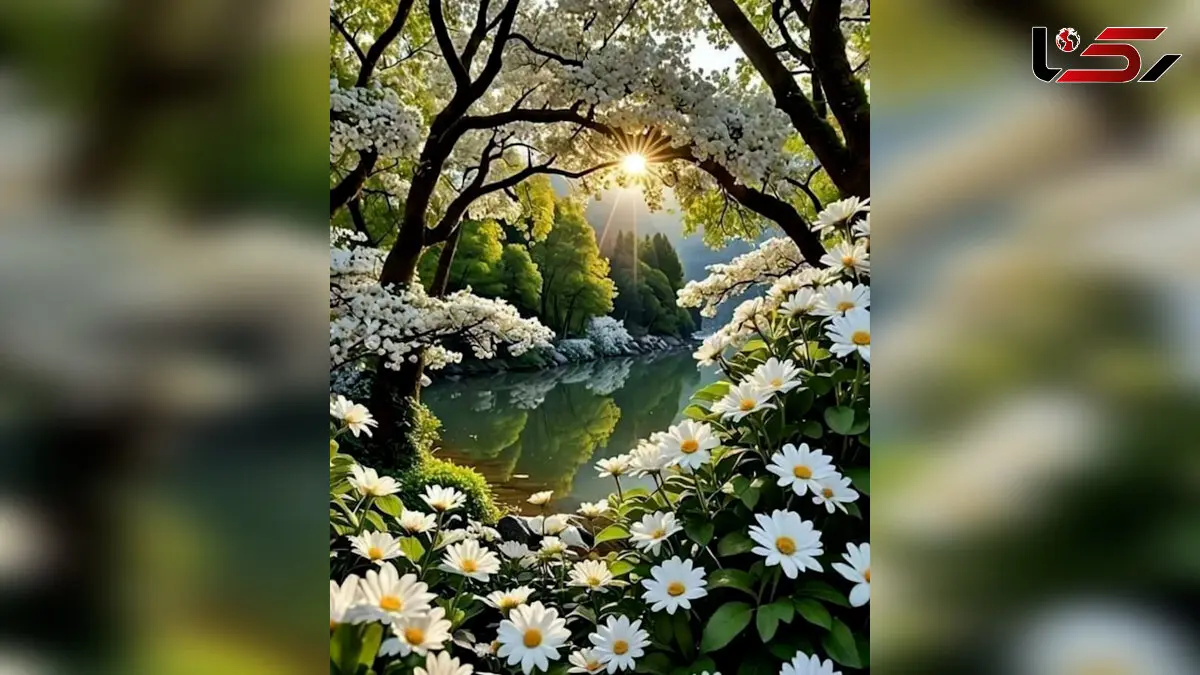 فال امروز 19 مرداد 1404