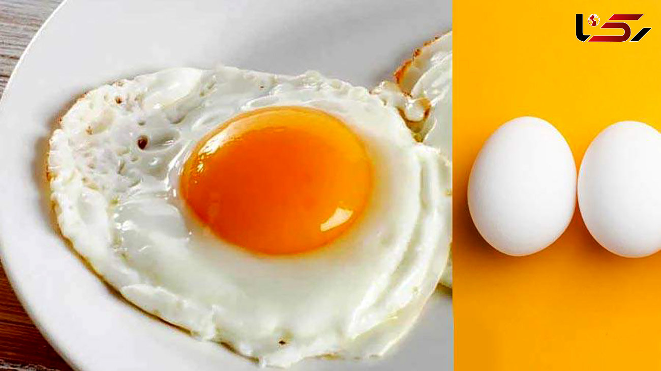 فواید خوردن تخم مرغ در صبح 