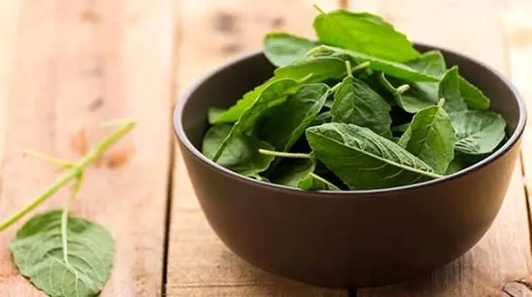 درمان بسیاری از بیماری ها با یک سبزی