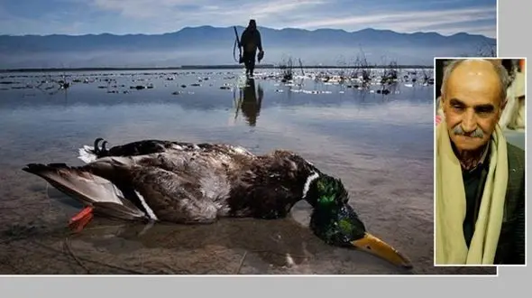 کشتار پرندگان مهاجر در شمال کشور / اسماعیل کهرم: دیگر به زنده بودن«امید» تک درنای گله غربی سیبری امیدی نیست!