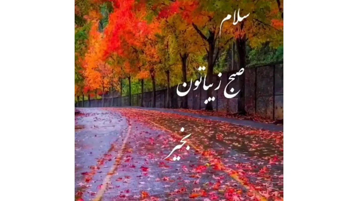 فال حافظ امروز 19 دی با تفسیر