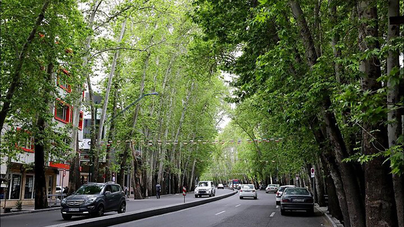 همه تهرانی‌ها با این خیابان خاطره دارند+ عکس