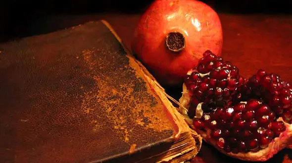 پیام های خنده دار مخصوص شب یلدا