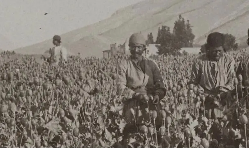 بازخوانی تاریخ