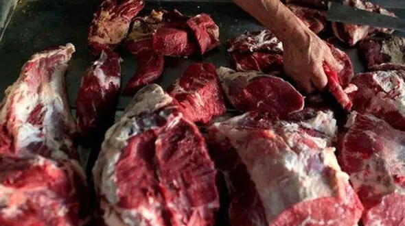 پاسخ شورای تأمین دام به فروش گوشت الاغ: فقط جو روانی است
