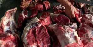 پاسخ شورای تأمین دام به فروش گوشت الاغ: فقط جو روانی است