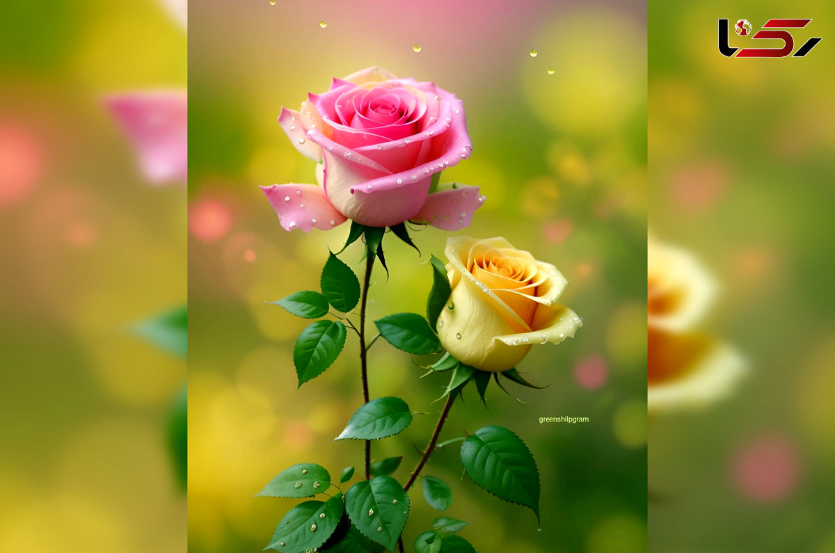 فال ابجد 13 اردیبهشت + فیلم
