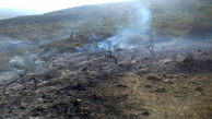 مهار آتش سوزی در حاشیه جنگلی پارک ملی پابند