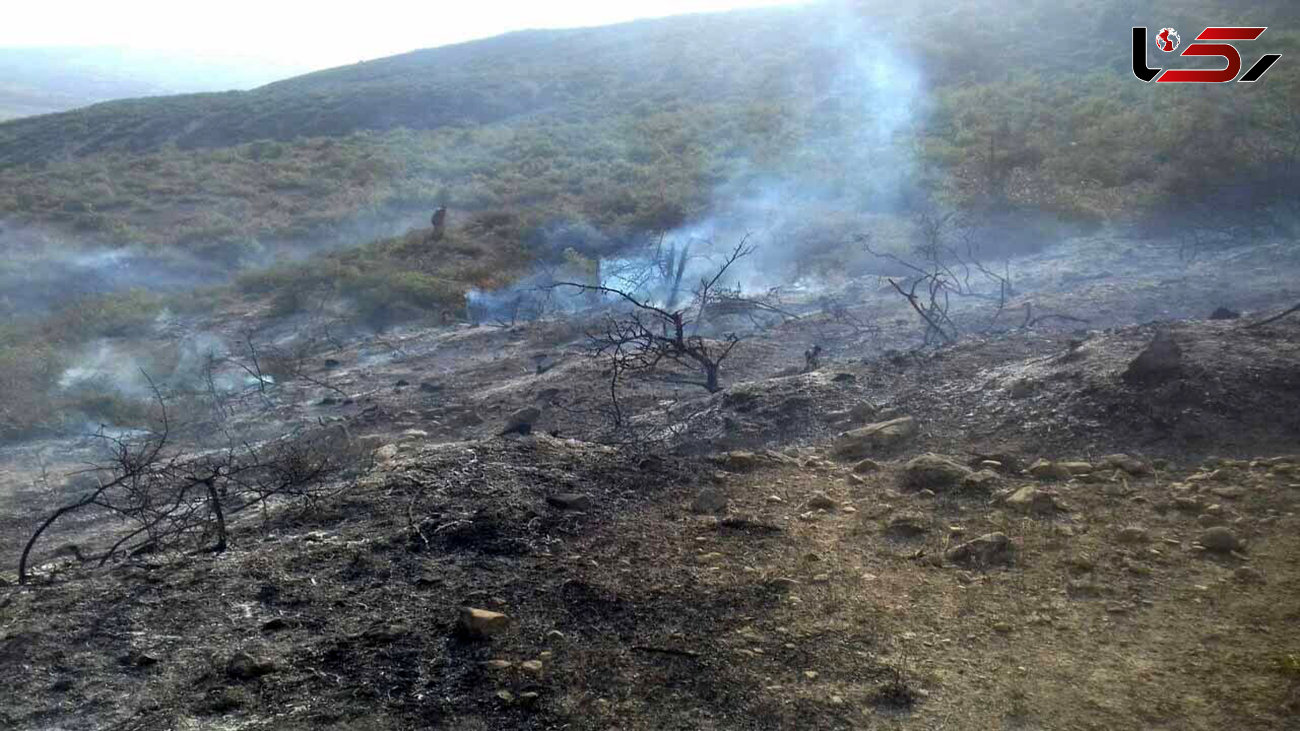 مهار آتش سوزی در حاشیه جنگلی پارک ملی پابند