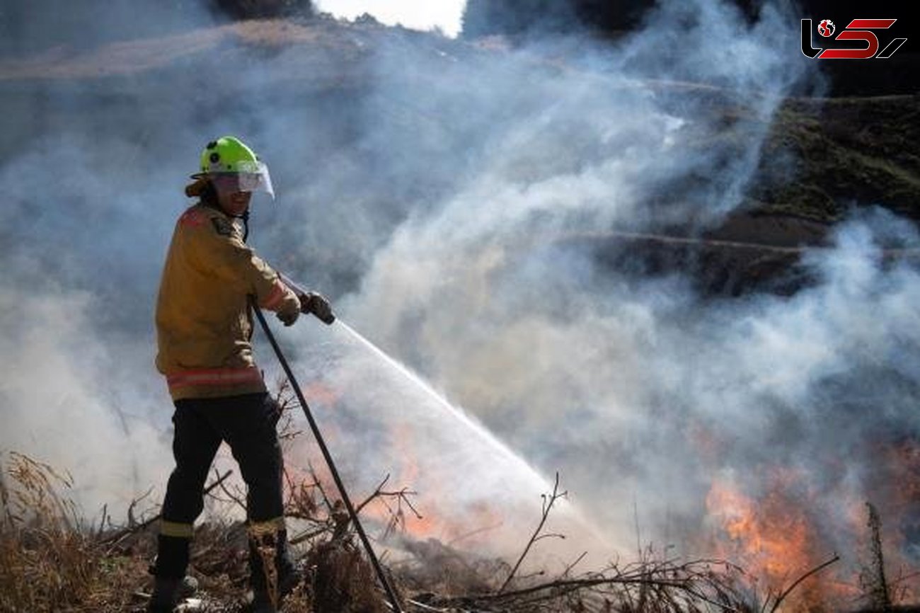 آتش‎سوزی در جنگل‌های نیوزلند 3 هزار نفر را آواره کرد
