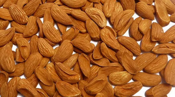 خواص بادام برای سلامتی انسان