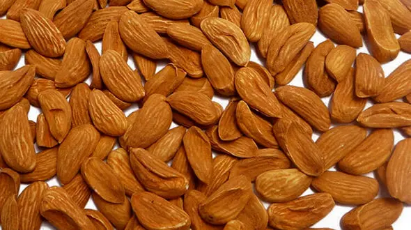 خواص بادام برای سلامتی انسان