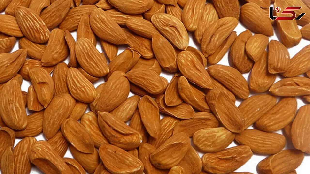 خواص بادام برای سلامتی انسان