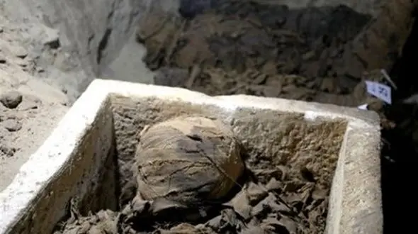 اگر مومیایی متعلق به پهلوی اول نیز نباشد نمونه منحصربفرد محسوب می­‌شود 