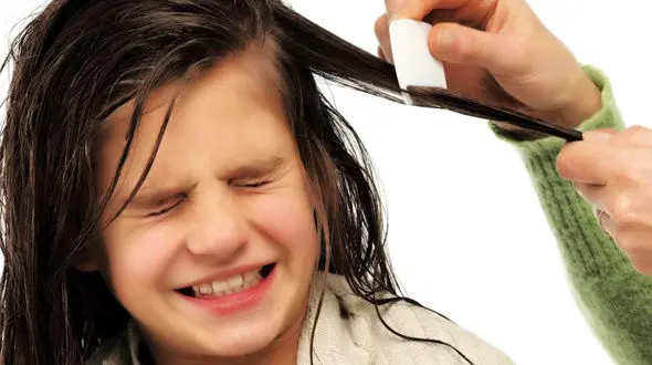 چند درصد از زنان کره زمین از کم پشتی مو رنج می برند