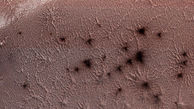 عنکبوت‌ های سیاه در مریخ  + عکس