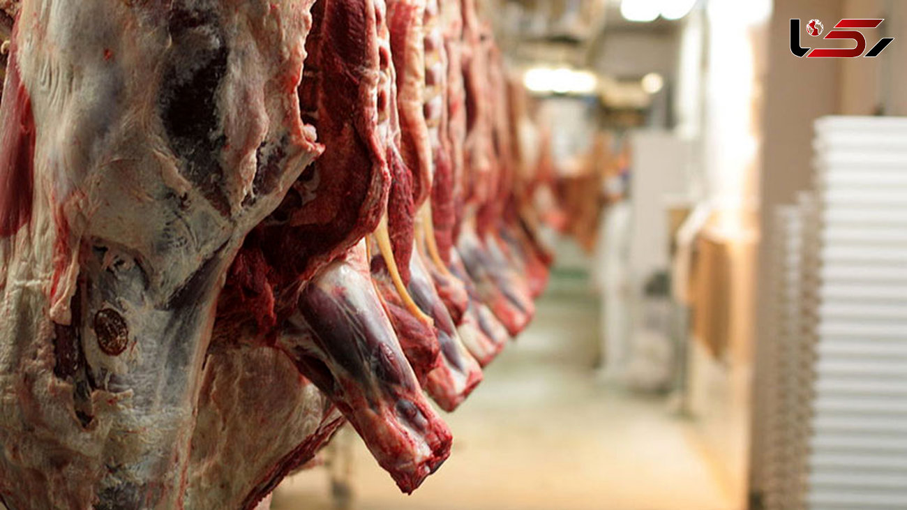 گوشت وارداتی نمی‌تواند دوباره صادر شود