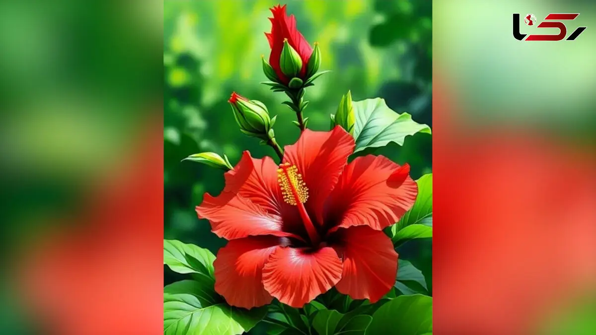 فال روزانه 18 مرداد 