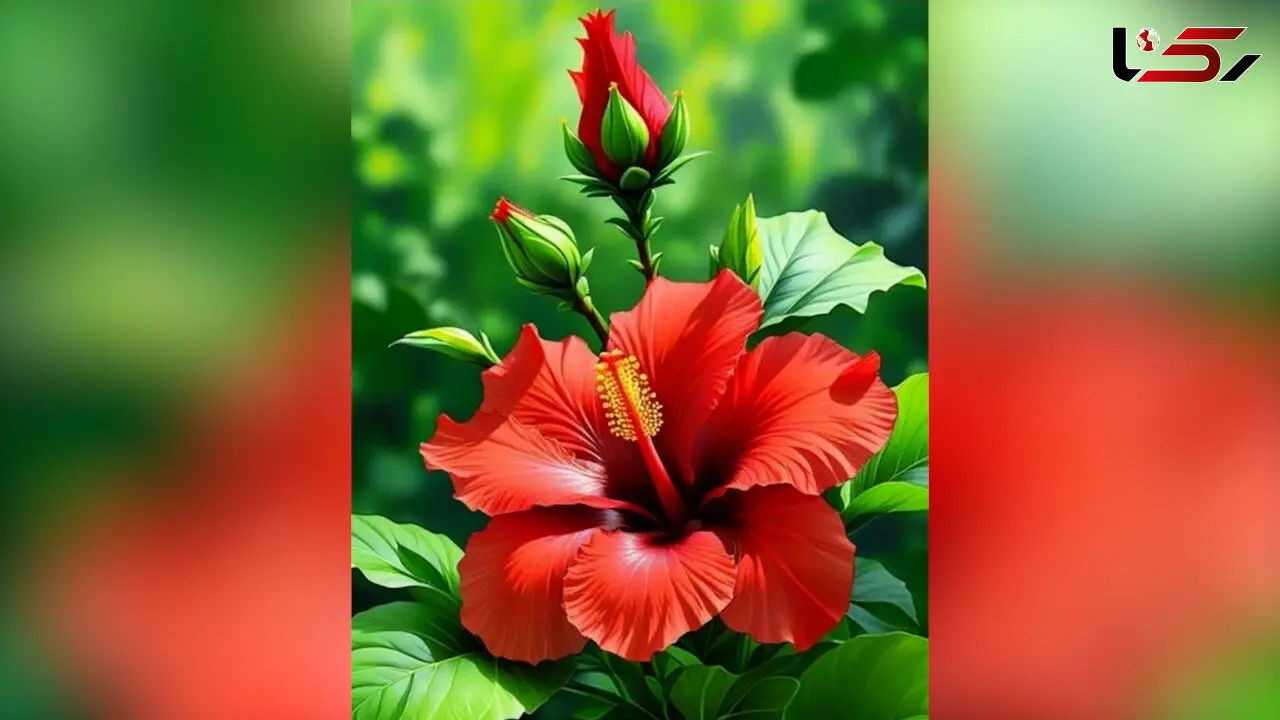 فال روزانه 18 مرداد 