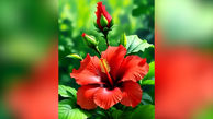 فال روزانه 18 مرداد 