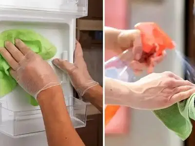 بهترین روش‌ های تمیز کردن یخچال برای داشتن محیطی سالم و مرتب