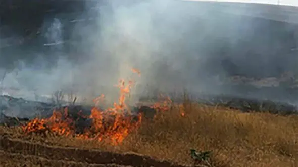 آتش سوزی در پارک ملی گلستان