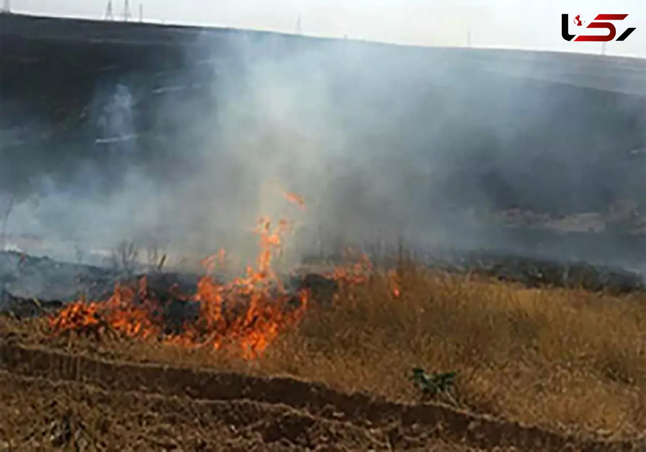 آتش سوزی در پارک ملی گلستان