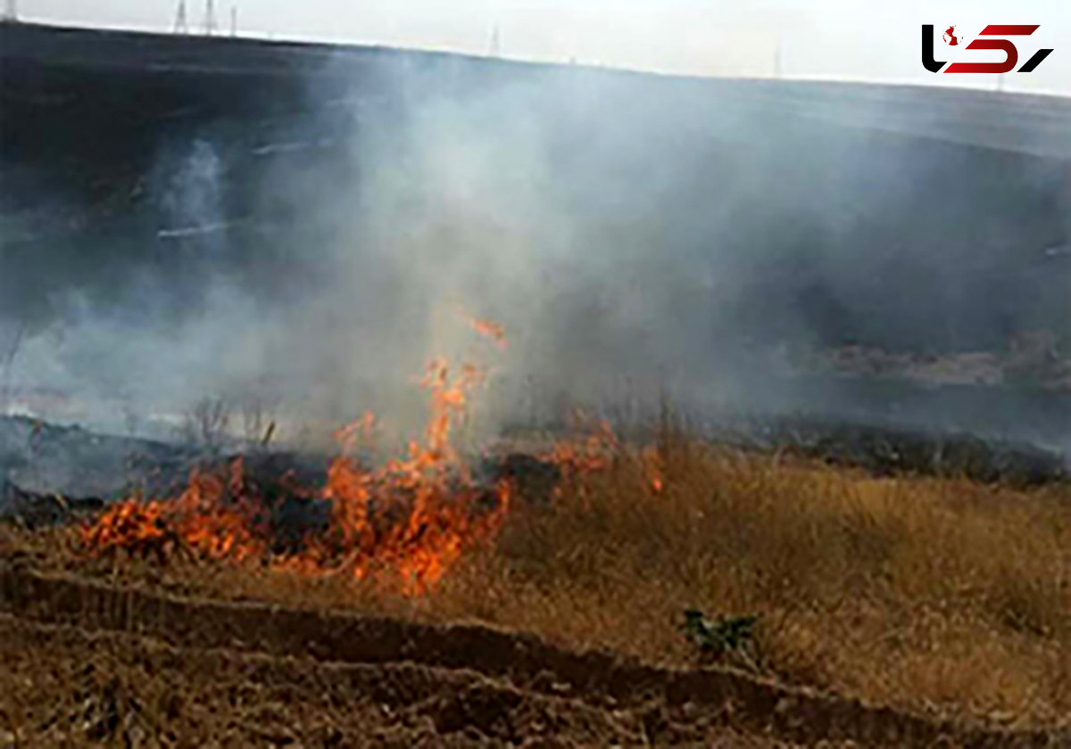 آتش سوزی در پارک ملی گلستان