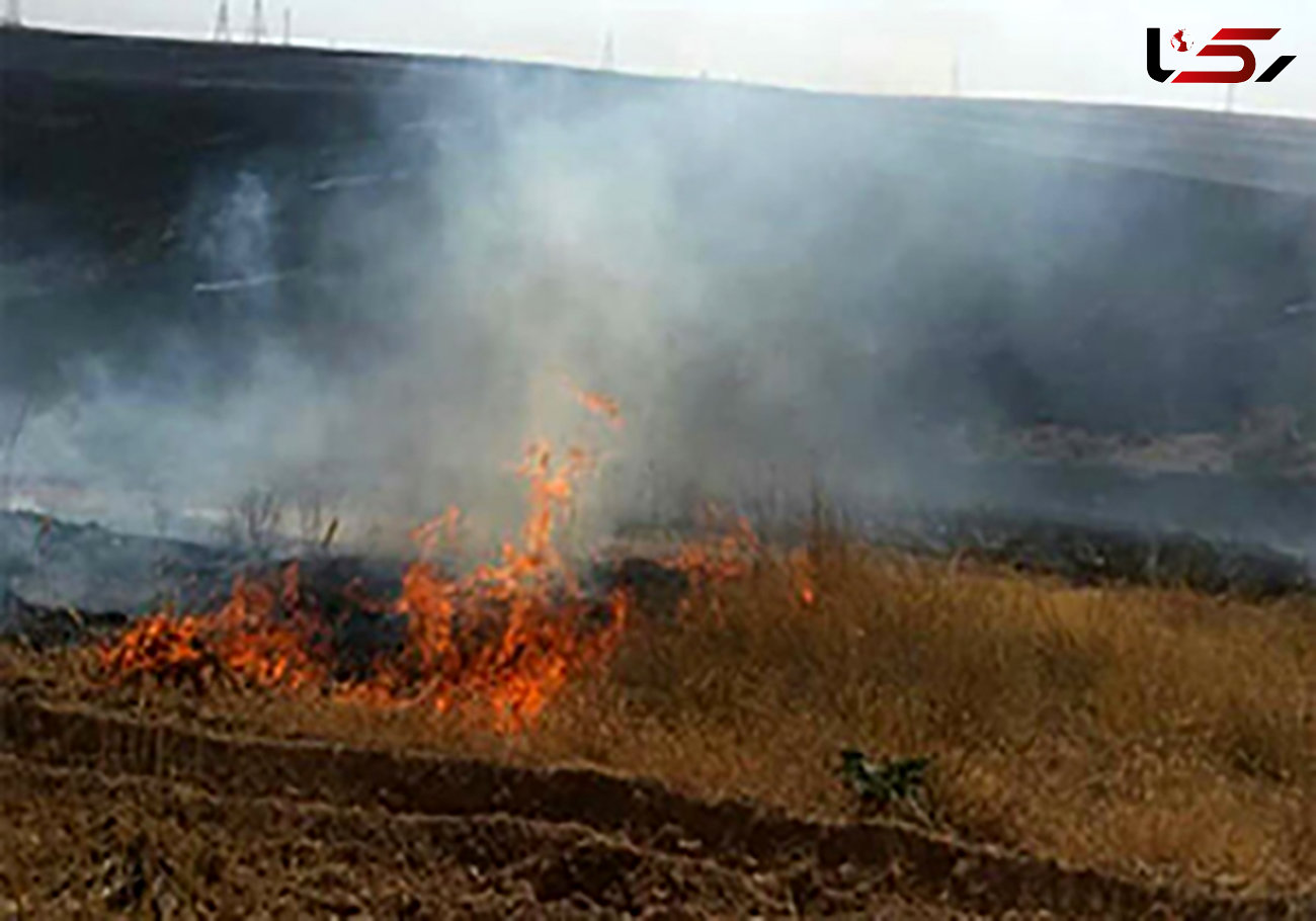 مهار آتش‌سوزی جنگل‌های اردبیل