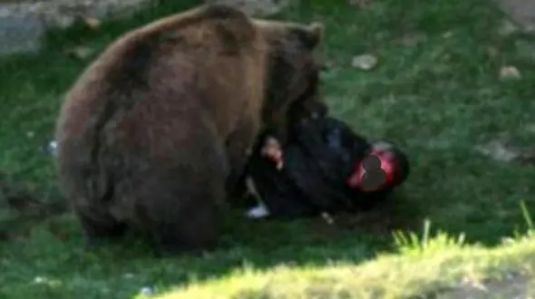 حمله مرگبار خرس وحشی به نوجوان ایذه ای 