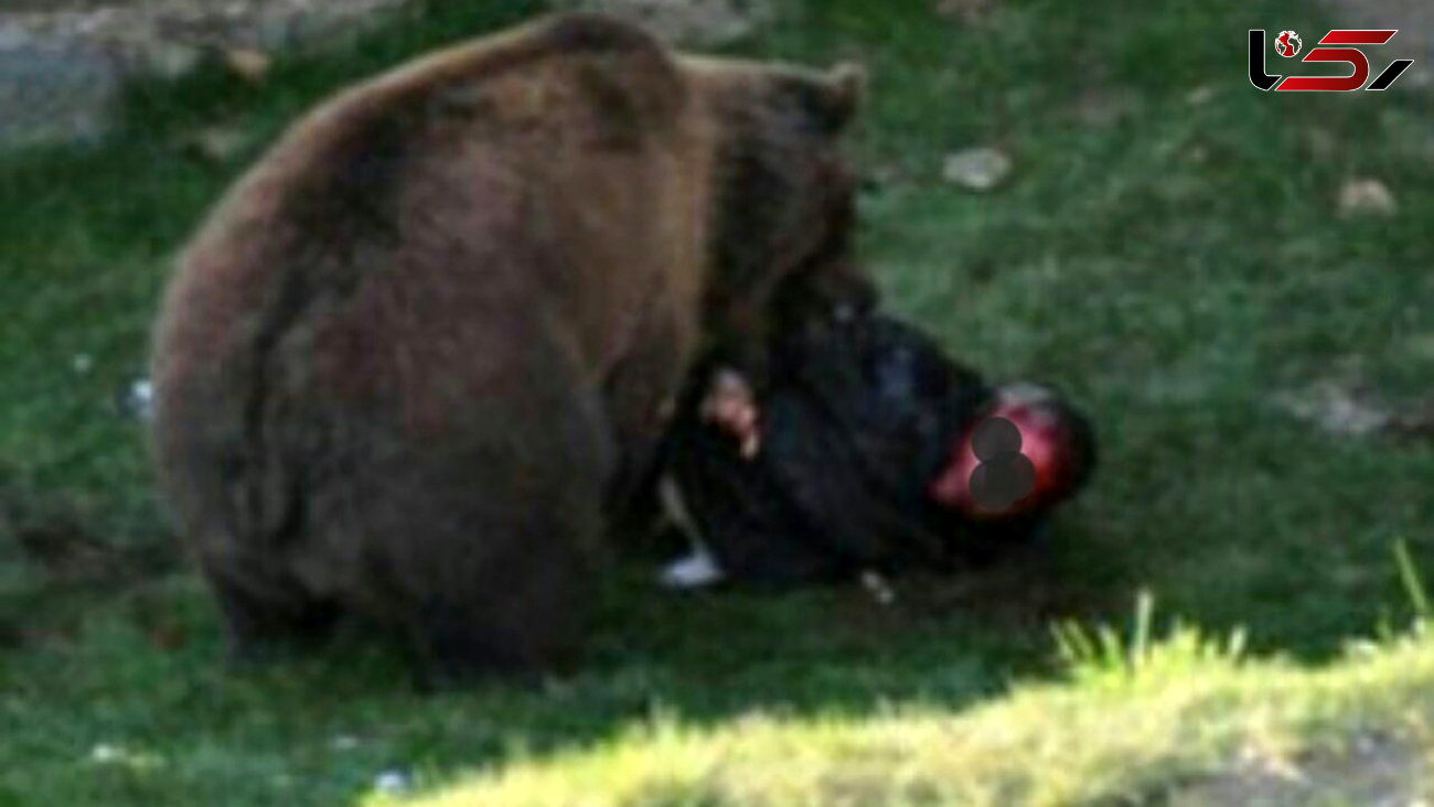 حمله مرگبار خرس وحشی به نوجوان ایذه ای 