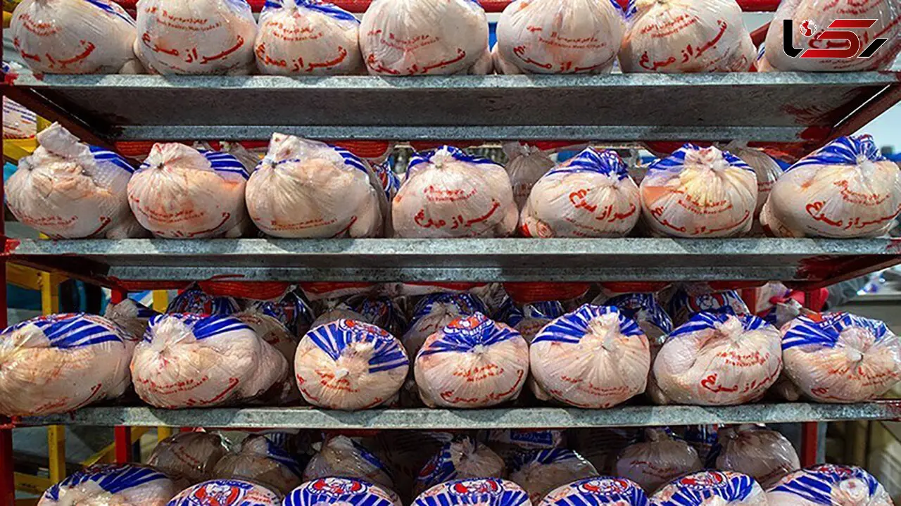 توزیع مرغ و گوشت وارداتی از هفته جاری در بازار