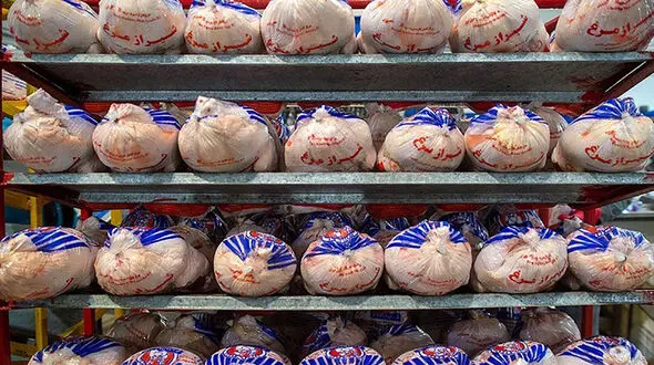توزیع مرغ و گوشت وارداتی از هفته جاری در بازار