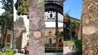 قطع ۱۴ درخت و درختچه در موزه آبگینه؛ میراث فرهنگی همچنان سکوت کرده است + فیلم
