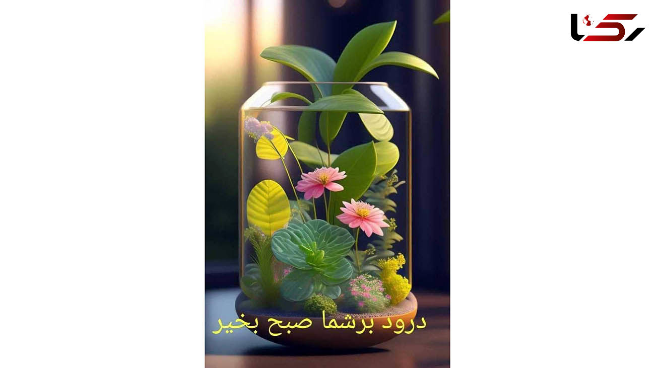 فال روزانه شخصی/ 17 شهریور + فیلم