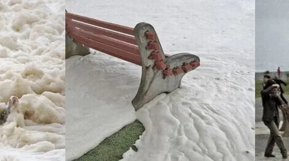 پدیده نادر و عجیب در ساحل دریا +تصاویر