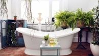 بهترین گیاهان آپارتمانی کم نور برای دیزاین حمام