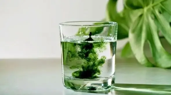 کلروفیل و کلاژن: آیا ترکیب جادویی برای زیبایی پوست هستند؟