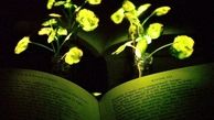 گیاهان درخشانی که جایگزین لامپ می شوند