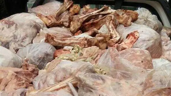 نابودسازی 23 تن گوشت در ساوه