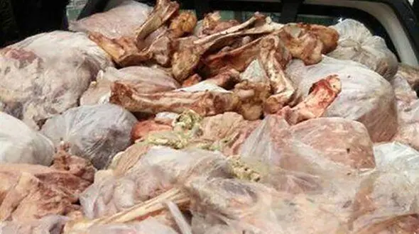 نابودسازی 23 تن گوشت در ساوه