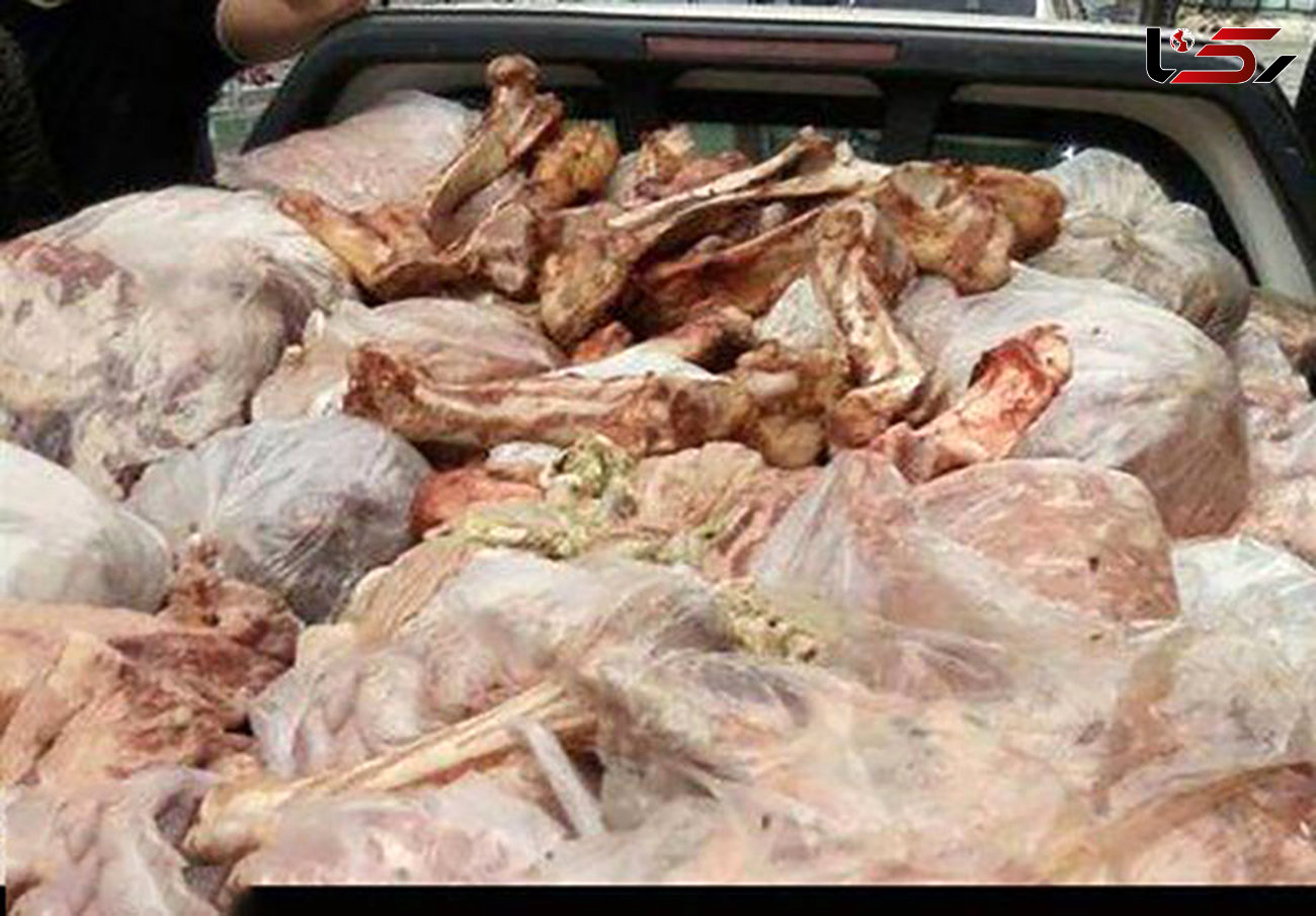 نابودسازی 23 تن گوشت در ساوه