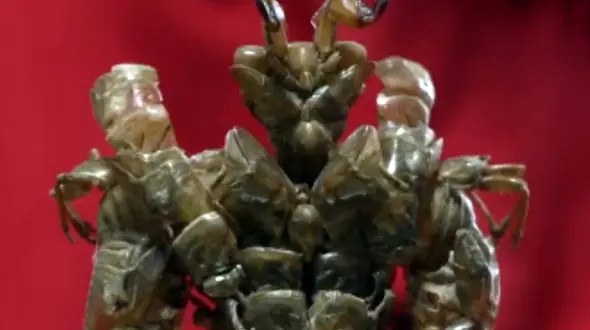 می دانید این مجسمه ها از چه ساخته شده است؟+ فیلم 