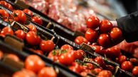 پیاز و گوجه فرنگی گران شد / علت افزایش قیمت چیست؟