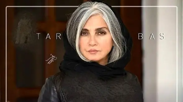 خانم بازیگرهایی که لقب روباه نقره‌ای را گرفته اند / از رویا جاویدنیا تا پانته آ بهرامی / از مردها : پارسا پیروزفر و مهران مدیری تا  دلبری با موهای خاکستری !