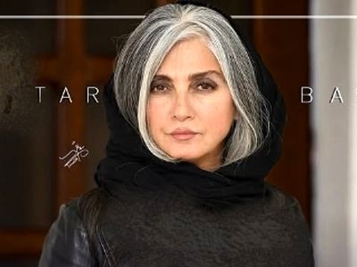 خانم بازیگرهایی که لقب روباه نقره‌ای را گرفته اند / از رویا جاویدنیا تا پانته آ بهرامی / از مردها : پارسا پیروزفر و مهران مدیری تا  دلبری با موهای خاکستری !