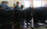قطع دست پسر جوان در جنایت مستانه ملارد