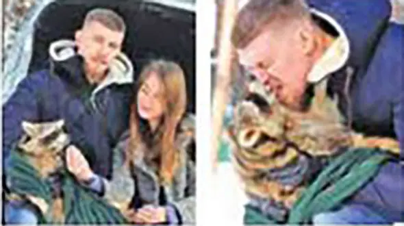 زوج روس والدین یک راکون شدند