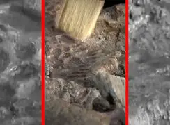 فیلم کشف جد ۸۰ میلیون ساله تمساح ها در مصر