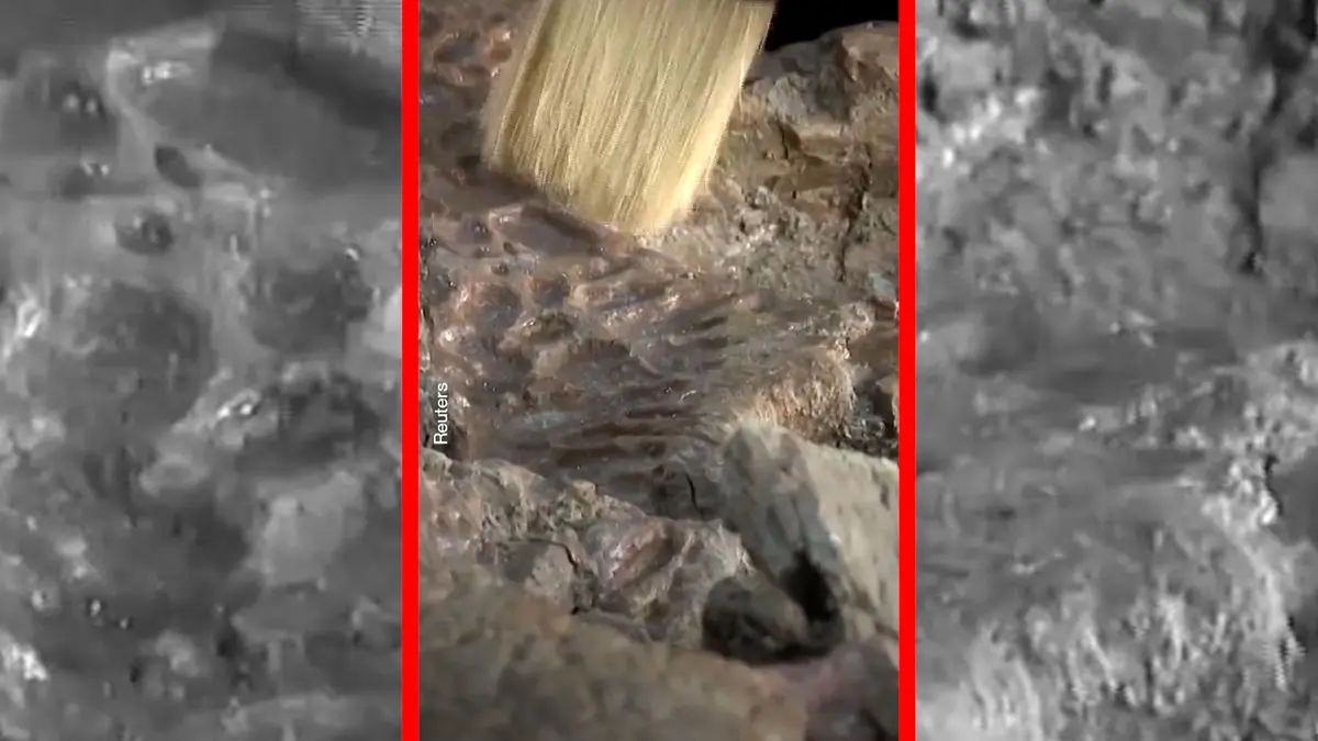 فیلم فسیل باستانی تمساح‌ در صحرای مصر